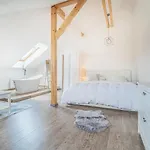 Sara S Bazénem A Infrasaunou Na Kraji Prahy Vila Zbuzany