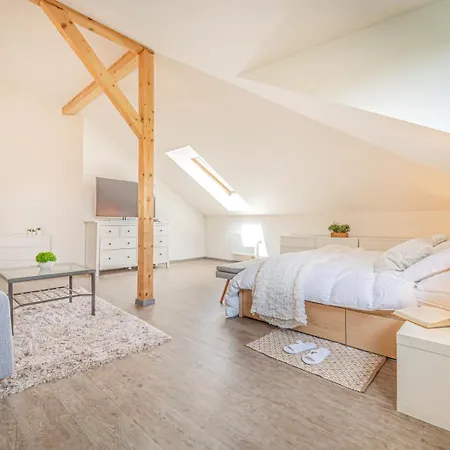 Sara S Bazenem A Infrasaunou Na Kraji Prahy Willa *