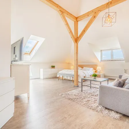 Sara S Bazenem A Infrasaunou Na Kraji Prahy Willa